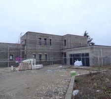 Crépis en cours