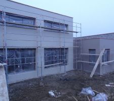 Crépis en cours