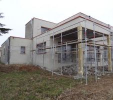 Crépis en cours