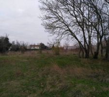 Terrain apr&egrave;s abattage des arbres, avant terrassement
