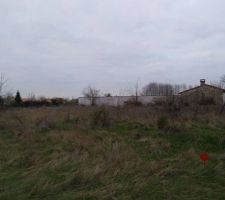 Terrain apr&egrave;s abattage des arbres, avant terrassement