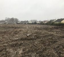 Les souches ont &eacute;t&eacute; retir&eacute;s !