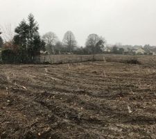 Les souches ont &eacute;t&eacute; retir&eacute;s !