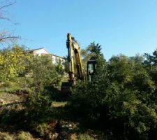 &Ccedil;a d&eacute;friche !