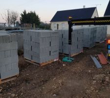 Livraison des parpains pour le futur mur c&ocirc;t&eacute; voisin