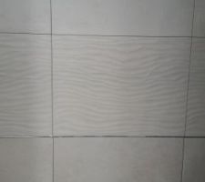 "Park white" (frise) et "Newport white" (reste du mur), la faïence pour la SDE de la suite parentale