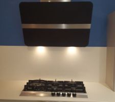 Hotte falmec nrs et plaque de dietrich