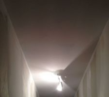 Plafond escalier premi&egrave;re couche