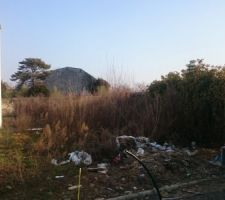 1 an plus tard, je suis l'heureux possesseur d'un terrain vague