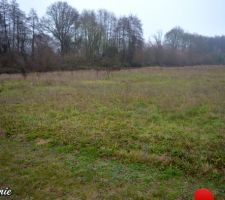 Notre terrain vue de l'angle sud-est