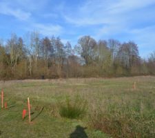 Vue générale de l'angle sud-ouest. On voit le chemin piétonnier qui passera au sud de notre terrain (entre les deux piquets)