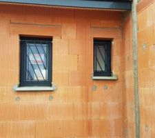 Grilles de d&eacute;fense