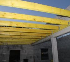 Toit plat du garage voiture