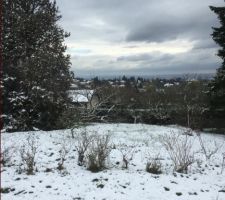 La vue depuis le salon