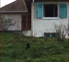 Ma première visite de la maison et l'exploration de mon nouveau jardin