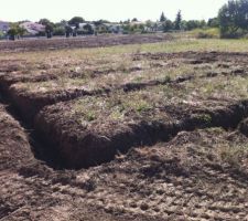 Et voilà le coup d'envoi de notre construction...
