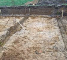 Le nid avance petit &agrave; petit