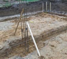 Le nid avance petit &agrave; petit