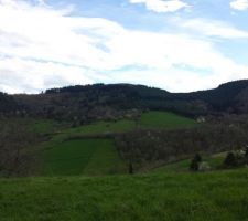 Premi&egrave;re visite du terrain, vue orient&eacute;e Sud du terrain, photo du milieu du terrain.