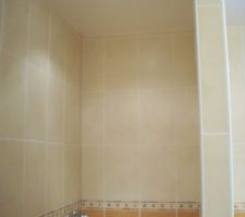 Les spots de la salle de bains.