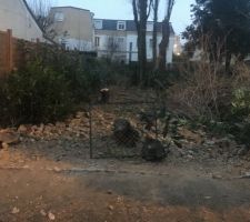Début des travaux nettoyage du terrain
Chemin d'accès