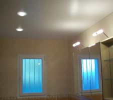 Les spots de la salle de bains.