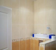 Les spots de la salle de bains.