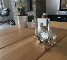 Cactus et nouvelles decos sur la table basse