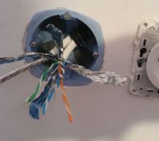 Création d'une double prise RJ45 dans une cloison alvéolaire Placopan 50 - Les câbles sont passés dans le boîtier d'encastrement.