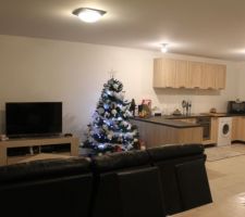 Salon / Salle a manger