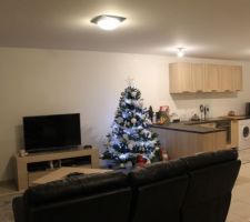 Salon / Salle a manger