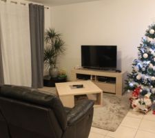 Salon / Salle a manger