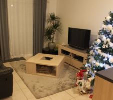 Salon / Salle a manger