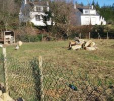 Le coin des animaux poules lapin mouton chèvre