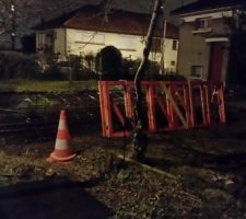 Livraison du jour! Ça se concrétise!