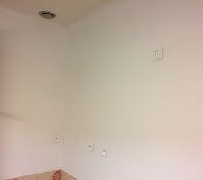 Etape finale: la peinture!