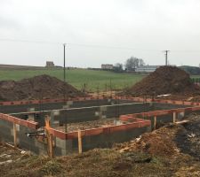 Vide sanitaire débuté ! ??