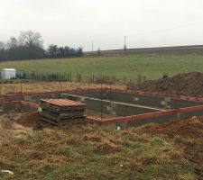 Vide sanitaire débuté !