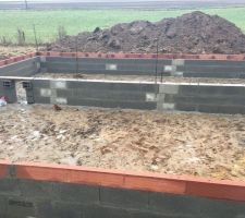 Vide sanitaire débuté !