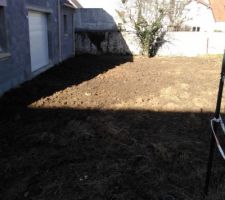 Jardin derri&egrave;re 03 02 2017