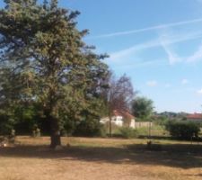 Entr&eacute;e du terrain