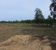 L'herbe a bien pouss&eacute; depuis que l'agriculteur n'exploite plus cette partie