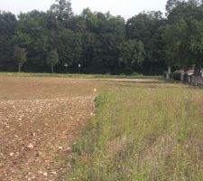 Le coin du terrain le plus proche du canal