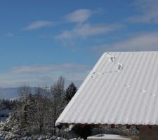 Oups, la pie qui sautillait a glissé 2 fois, le chasse-neige n'est pas passé sur le toit !