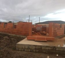 Petit &agrave; petit...