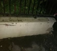 D&eacute;pose portail & cl&ocirc;ture sur 2ml + protection trottoir (pose d'un g&eacute;otextile et grave concass&eacute;)
Le tout pour environ 700?..