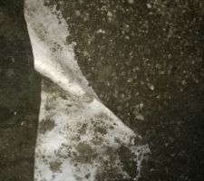 D&eacute;pose portail & cl&ocirc;ture sur 2ml + protection trottoir (pose d'un g&eacute;otextile et grave concass&eacute;)
Le tout pour environ 700?..