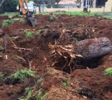 Et c'est partiiii ! Enfin !