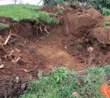 Souche enlev&eacute;e !