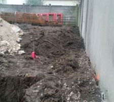 J'ai gardé toute ma terre végétale! Va falloir retirer toutes les racines